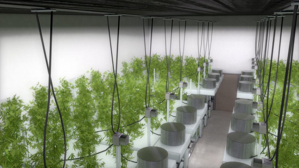 PSI Cannabis Cultivation Facility Grow Room